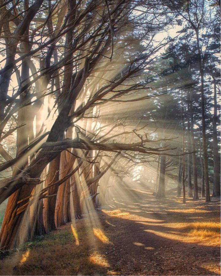 Stunning Oceanview Coastal Home Beach Trails Family Activities Montara Exterior foto