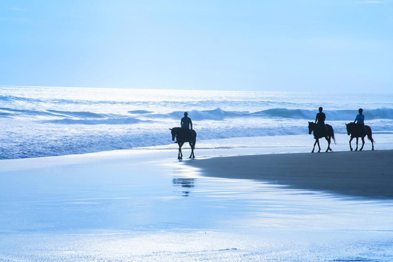 Stunning Oceanview Coastal Home Beach Trails Family Activities Montara Exterior foto